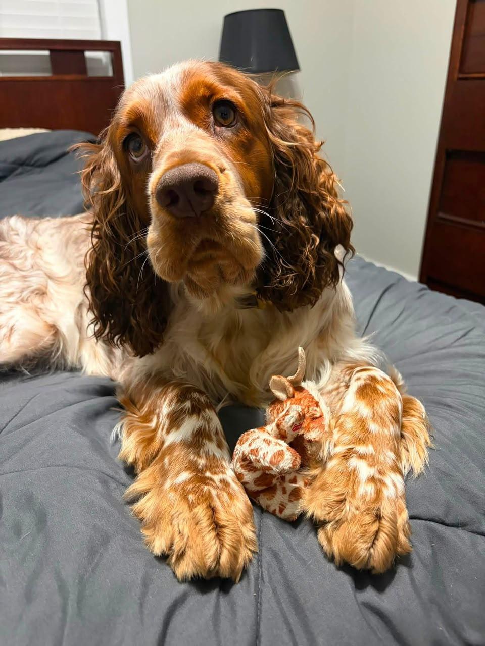 Duke